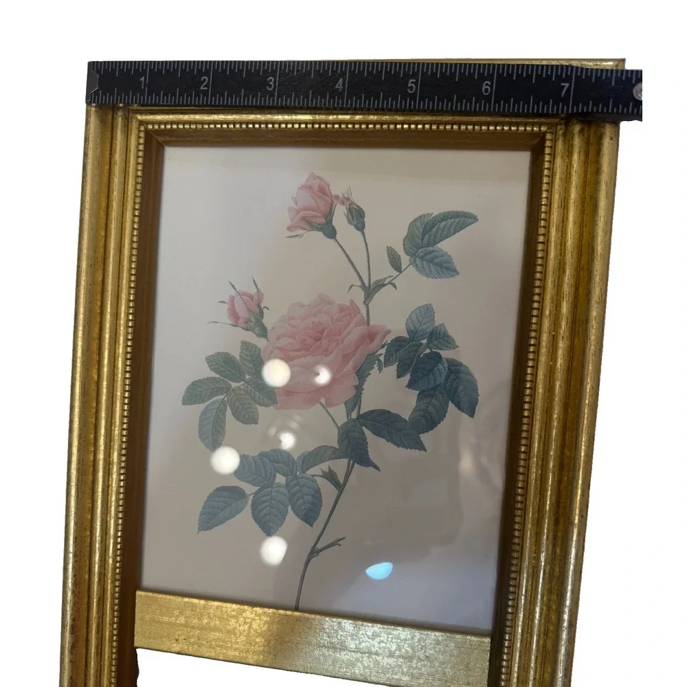 Vintage Pink Rose Print Pier Mirror Gold Gilt Frame Floral Wall Hanging 23.5